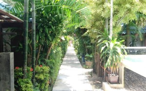 محوطه هتل محوطه هتل