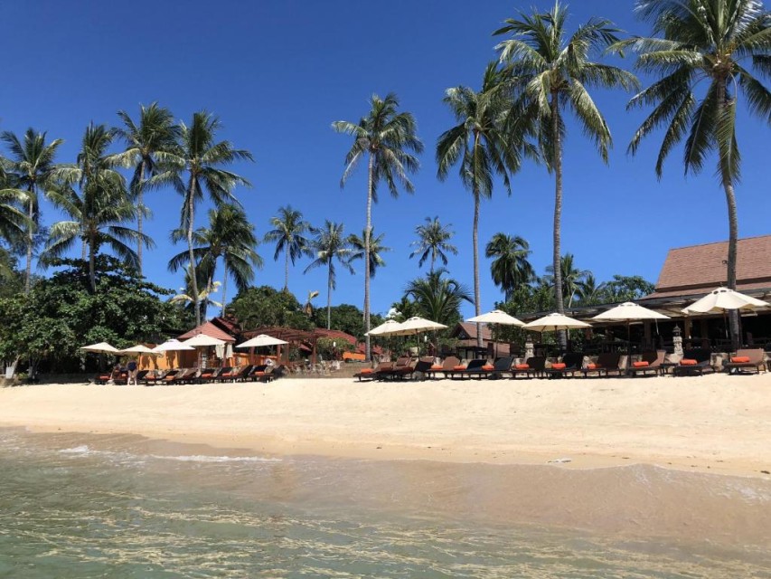 محوطه هتل محوطه هتل