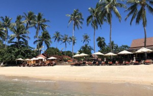 محوطه هتل محوطه هتل