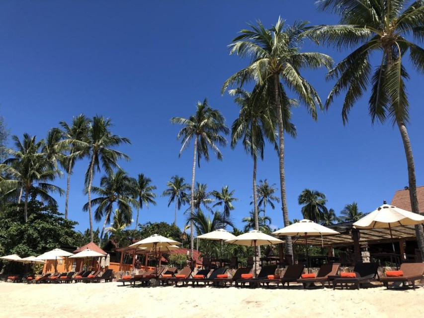 محوطه هتل محوطه هتل