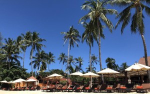 محوطه هتل محوطه هتل