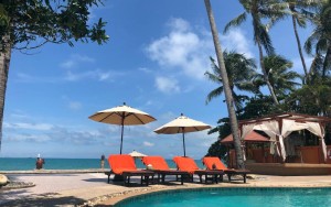 محوطه هتل محوطه هتل