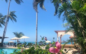 محوطه هتل محوطه هتل