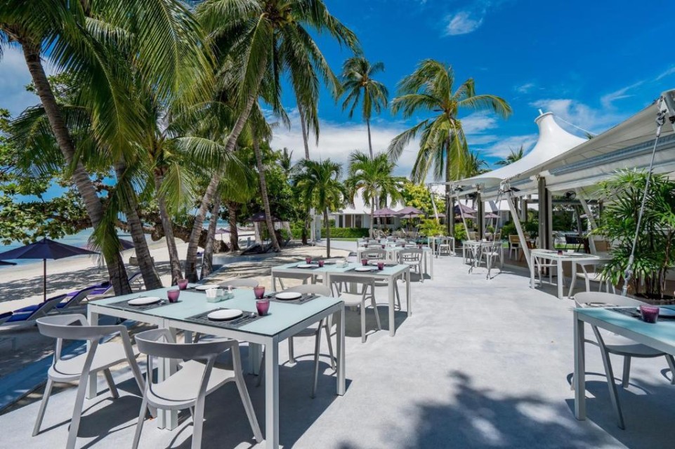 محوطه هتل محوطه هتل