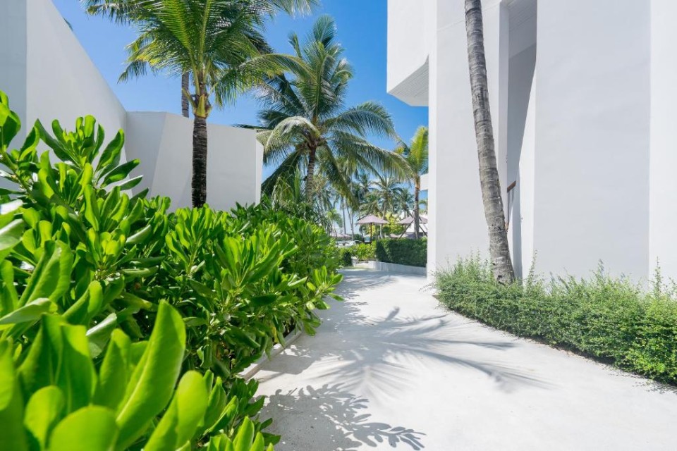 محوطه هتل محوطه هتل