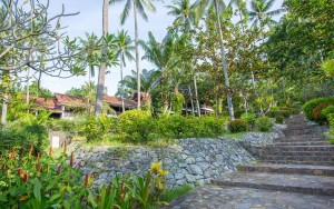 محوطه هتل محوطه هتل