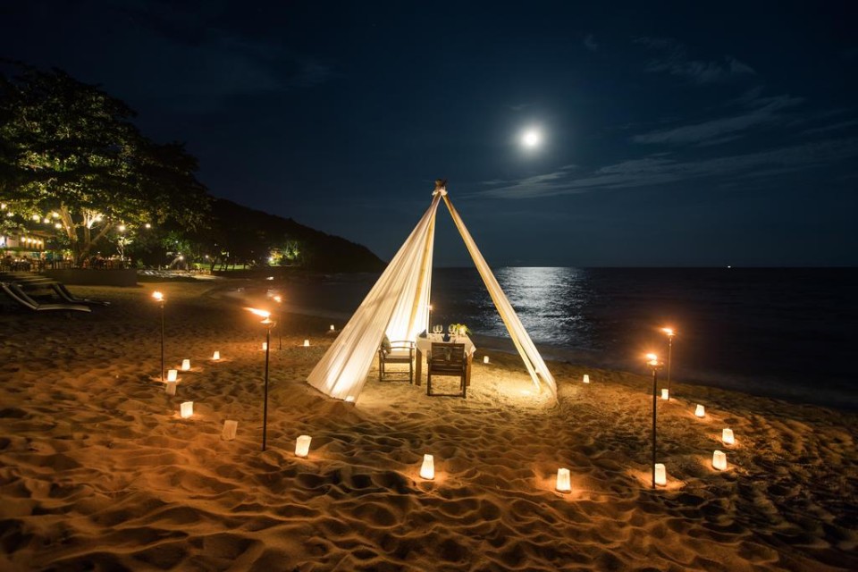 مراسم عروسی مراسم عروسی