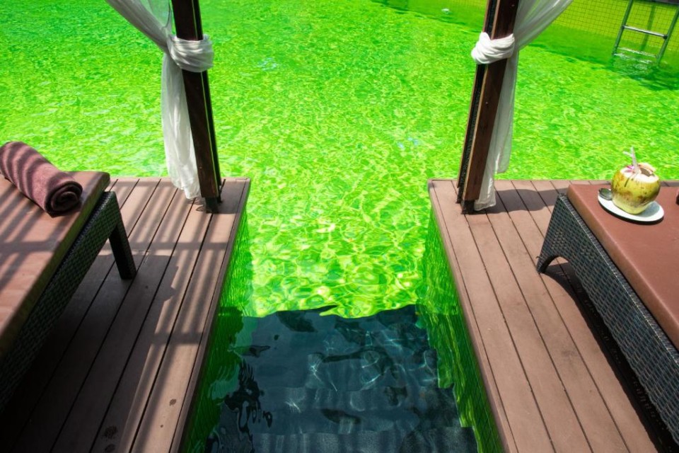 محوطه هتل محوطه هتل