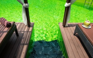 محوطه هتل محوطه هتل