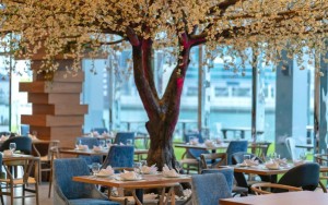 محوطه هتل محوطه هتل