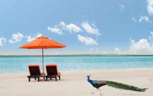 محوطه هتل محوطه هتل