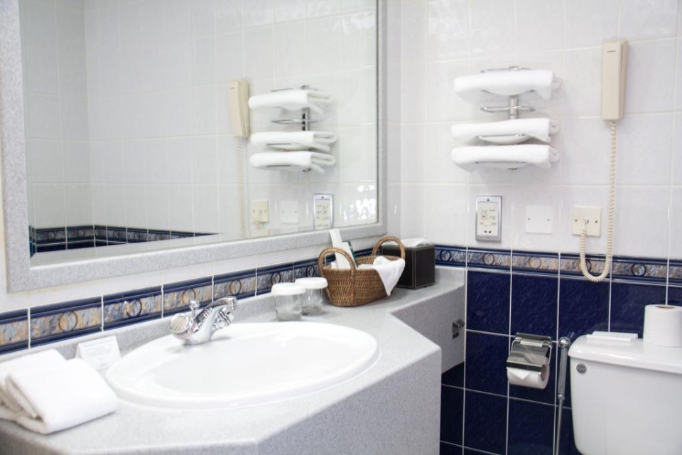 سرویس بهداشتی