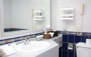 سرویس بهداشتی