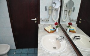 سرویس بهداشتی