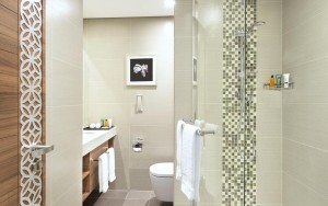 سرویس بهداشتی