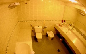 سرویس بهداشتی