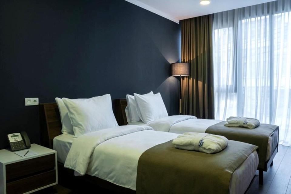 hotels-georgia-tbilisi-Bricks-409886245-26ba2c9637d85cfabc7a35aea816c669.jpg