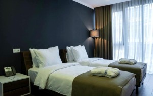 hotels-georgia-tbilisi-Bricks-409886245-bb880fb51c6b9371b902060267e97128.jpg