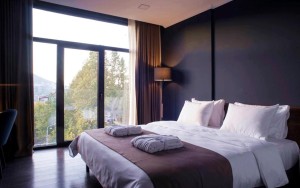hotels-georgia-tbilisi-Bricks-409886331-bb880fb51c6b9371b902060267e97128.jpg