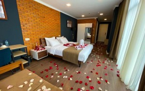 hotels-georgia-tbilisi-Bricks-409886538-bb880fb51c6b9371b902060267e97128.jpg