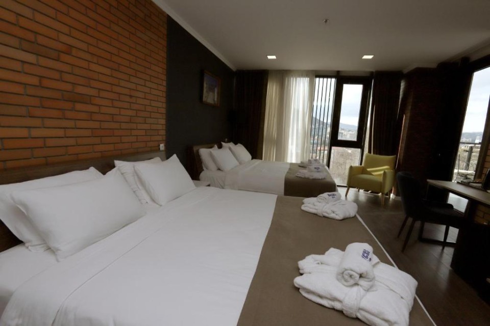 hotels-georgia-tbilisi-Bricks-445117712-26ba2c9637d85cfabc7a35aea816c669.jpg