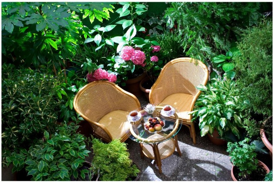 محوطه هتل محوطه هتل