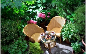 محوطه هتل محوطه هتل