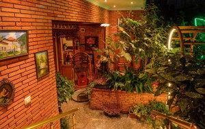 محوطه هتل محوطه هتل