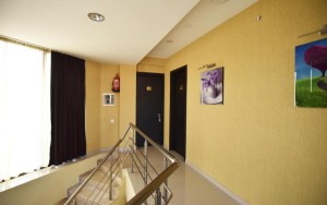 ویو هتل ویو هتل