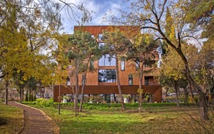 محوطه هتل محوطه هتل