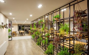 رستوران رستوران