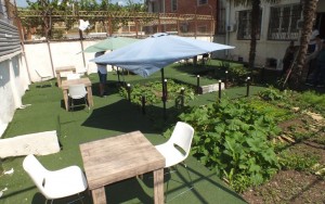 محوطه محوطه