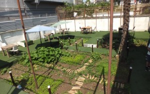 محوطه محوطه