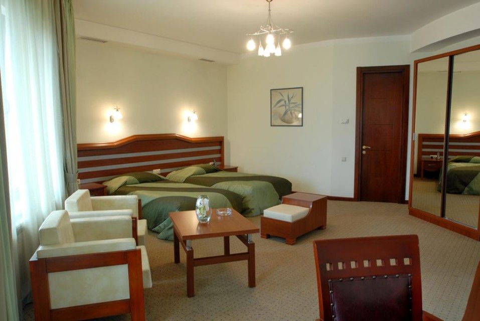 hotels-georgia-tbilisi-Hotel-Vedzisi-اتاق۷-26ba2c9637d85cfabc7a35aea816c669.jpg
