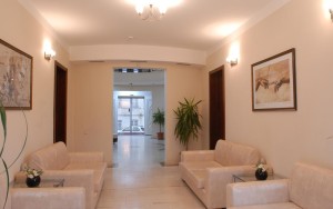 hotels-georgia-tbilisi-Hotel-Vedzisi-لالبی-bb880fb51c6b9371b902060267e97128.jpg