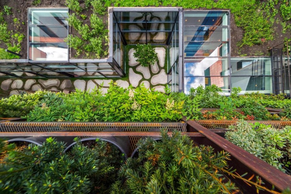 ویو هتل ویو هتل