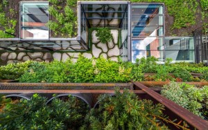 ویو هتل ویو هتل