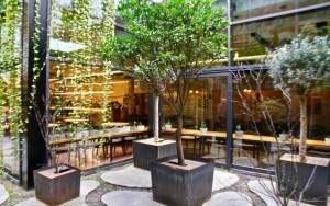 ویو هتل ویو هتل