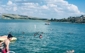 محوطه محوطه