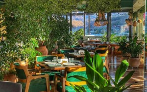 محوطه هتل محوطه هتل