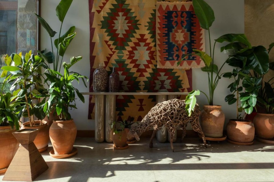 محوطه هتل محوطه هتل