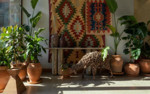 محوطه هتل محوطه هتل