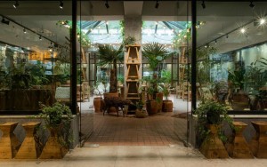 رستوران رستوران