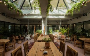 رستوران رستوران