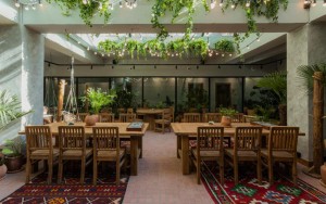 رستوران رستوران