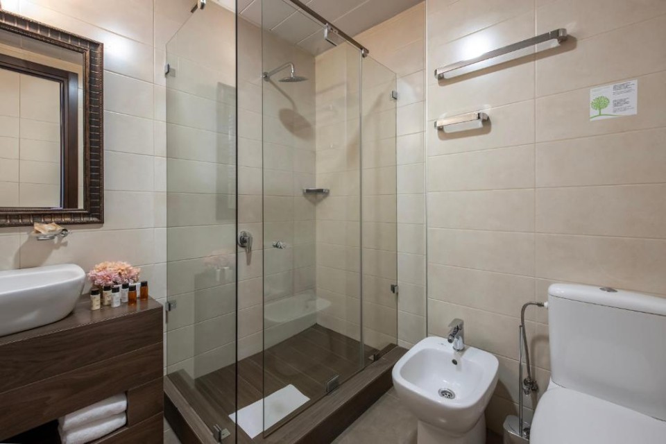 hotels-georgia-tbilisi-Laerton-523276331-26ba2c9637d85cfabc7a35aea816c669.jpg