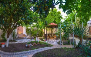 محوطه هتل محوطه هتل