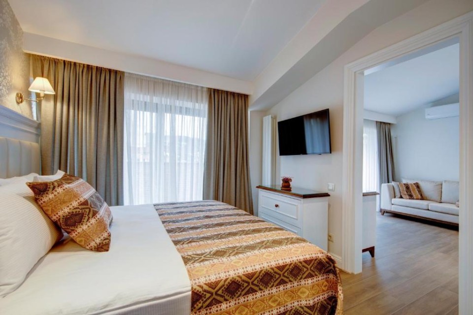 hotels-georgia-tbilisi-Passport-202788325-26ba2c9637d85cfabc7a35aea816c669.jpg