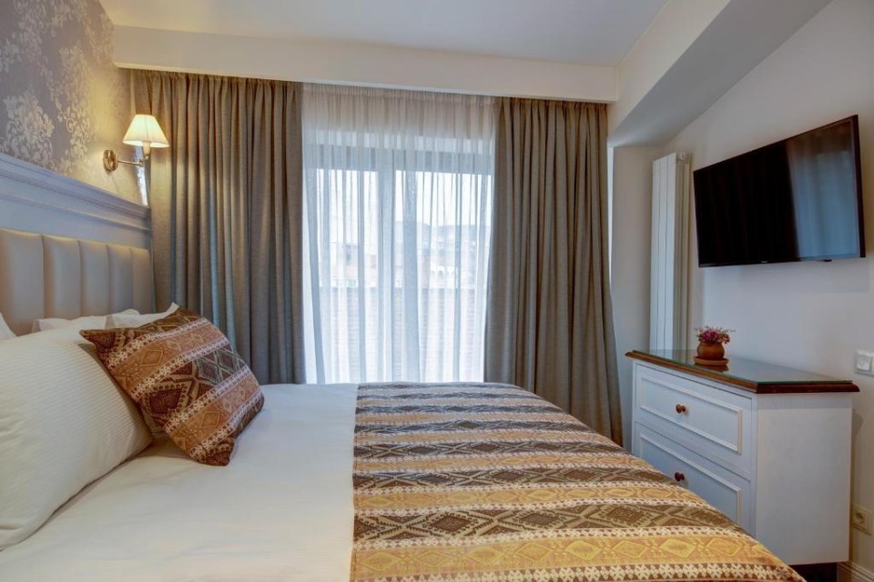 hotels-georgia-tbilisi-Passport-202788364-26ba2c9637d85cfabc7a35aea816c669.jpg