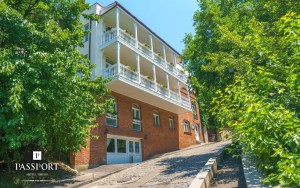hotels-georgia-tbilisi-Passport-435778517-bb880fb51c6b9371b902060267e97128.jpg